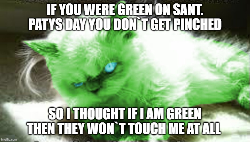 mad raycat | IF YOU WERE GREEN ON SANT. PATYS DAY YOU DON`T GET PINCHED; SO I THOUGHT IF I AM GREEN THEN THEY WON`T TOUCH ME AT ALL | image tagged in mad raycat | made w/ Imgflip meme maker