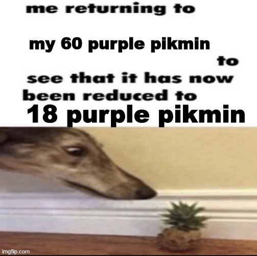 bulbowrbs | my 60 purple pikmin; 18 purple pikmin | image tagged in me returning to to see that it has now been reduced to | made w/ Imgflip meme maker