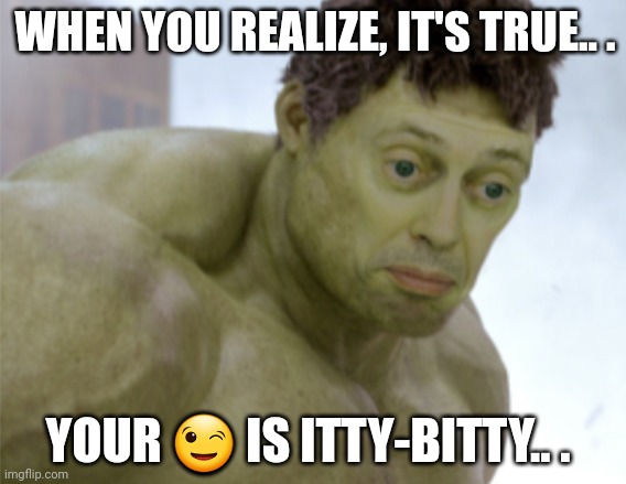 realization | WHEN YOU REALIZE, IT'S TRUE.. . YOUR 😉 IS ITTY-BITTY.. . | image tagged in realization | made w/ Imgflip meme maker