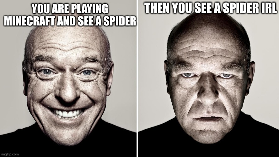 Dean Norris's reaction | THEN YOU SEE A SPIDER IRL; YOU ARE PLAYING MINECRAFT AND SEE A SPIDER | image tagged in dean norris's reaction | made w/ Imgflip meme maker