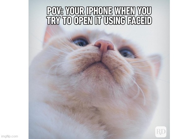 Phones be like | image tagged in cat,phone,repost | made w/ Imgflip meme maker