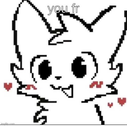 silly cat | you fr | image tagged in silly cat | made w/ Imgflip meme maker