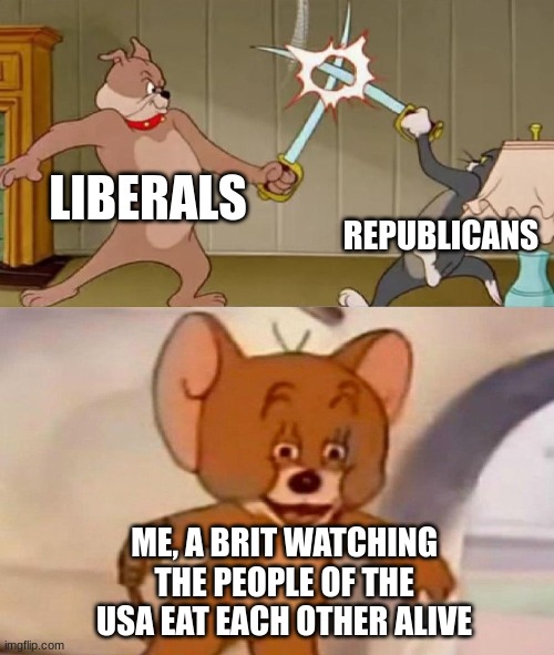 Tom and Jerry swordfight | LIBERALS REPUBLICANS ME, A BRIT WATCHING THE PEOPLE OF THE USA EAT EACH OTHER ALIVE | image tagged in tom and jerry swordfight | made w/ Imgflip meme maker