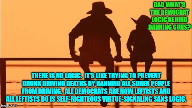 Pretty much -- yes. | DAD WHAT'S THE DEMOCRAT LOGIC BEHIND BANNING GUNS? THERE IS NO LOGIC.  IT'S LIKE TRYING TO PREVENT DRUNK DRIVING DEATHS BY BANNING ALL SOBER PEOPLE FROM DRIVING.  ALL DEMOCRATS ARE NOW LEFTISTS AND ALL LEFTISTS DO IS SELF-RIGHTEOUS VIRTUE-SIGNALING SANS LOGIC. | image tagged in cowboy father and son | made w/ Imgflip meme maker