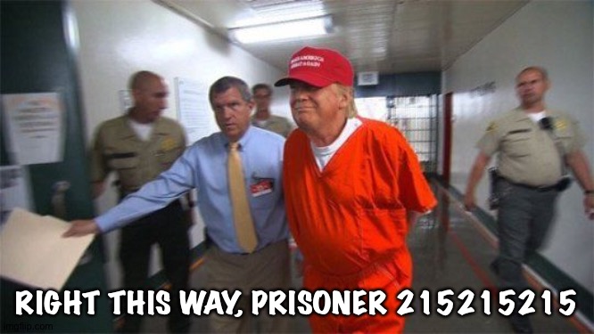215 | RIGHT THIS WAY, PRISONER 215215215 | image tagged in trump prison | made w/ Imgflip meme maker