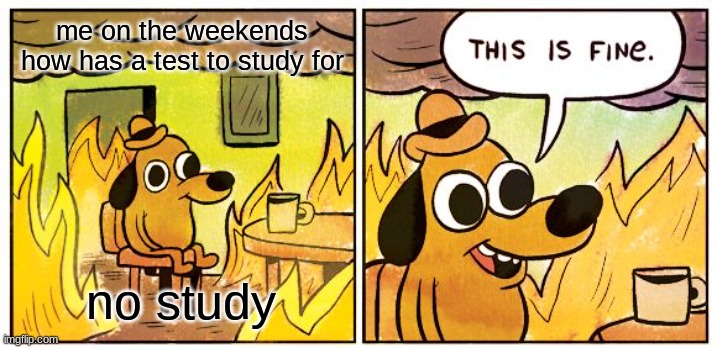 This Is Fine Meme | me on the weekends how has a test to study for; no study | image tagged in memes,this is fine | made w/ Imgflip meme maker