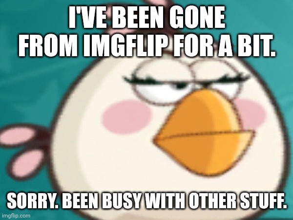 ... | I'VE BEEN GONE FROM IMGFLIP FOR A BIT. SORRY. BEEN BUSY WITH OTHER STUFF. | image tagged in angry birds | made w/ Imgflip meme maker