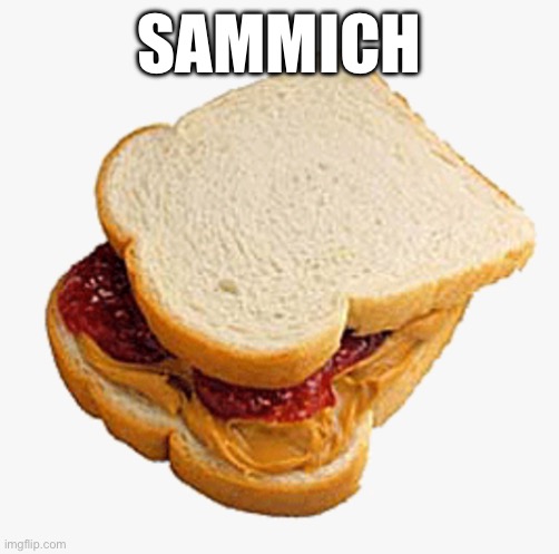 PB & J Sandwitch | SAMMICH | image tagged in pb j sandwitch | made w/ Imgflip meme maker