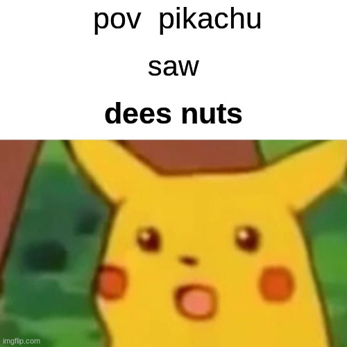 pikachu saw dees nuts | pov  pikachu; saw; dees nuts | image tagged in memes,surprised pikachu | made w/ Imgflip meme maker