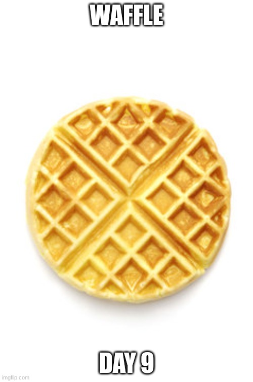 waffle | WAFFLE; DAY 9 | image tagged in waffles | made w/ Imgflip meme maker