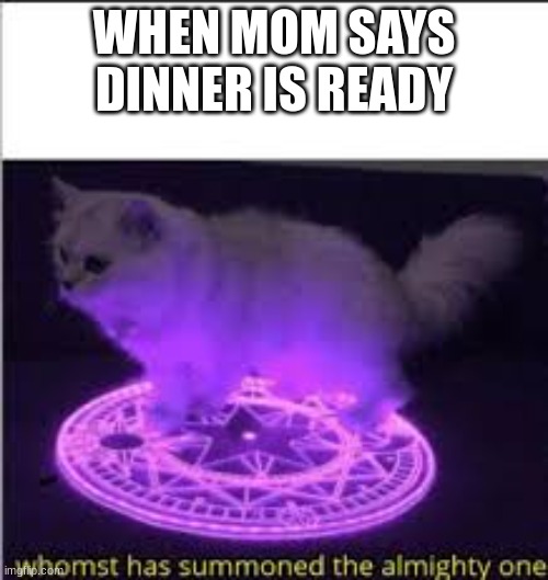 Whomst has summoned the almighty one | WHEN MOM SAYS DINNER IS READY | image tagged in whomst has summoned the almighty one | made w/ Imgflip meme maker
