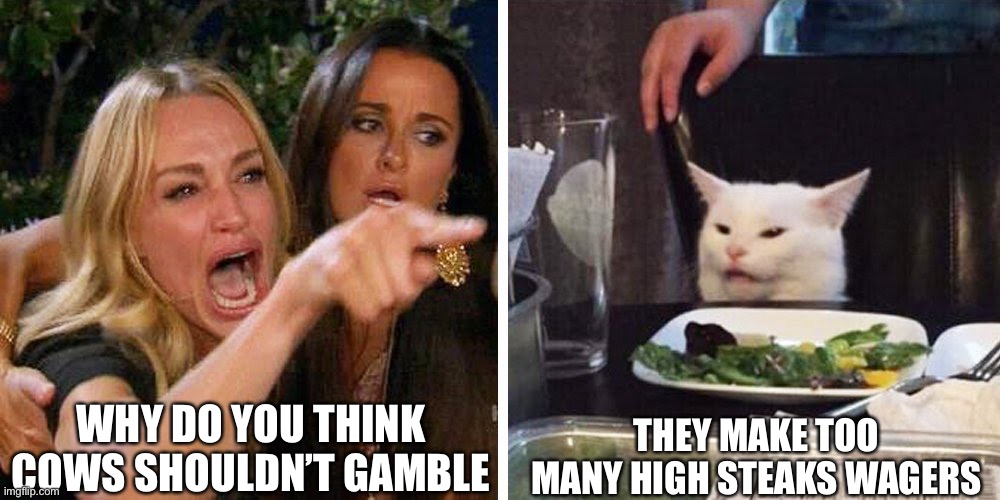 Cow | WHY DO YOU THINK COWS SHOULDN’T GAMBLE; THEY MAKE TOO MANY HIGH STEAKS WAGERS | image tagged in smudge the cat | made w/ Imgflip meme maker