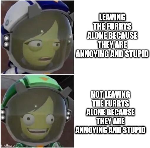 note to the mods, whats my status on my application? | LEAVING THE FURRYS ALONE BECAUSE THEY ARE ANNOYING AND STUPID; NOT LEAVING THE FURRYS ALONE BECAUSE THEY ARE ANNOYING AND STUPID | image tagged in kerbal confusion | made w/ Imgflip meme maker