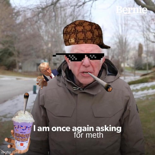 Bernie I Am Once Again Asking For Your Support | for meth | image tagged in memes,bernie i am once again asking for your support | made w/ Imgflip meme maker