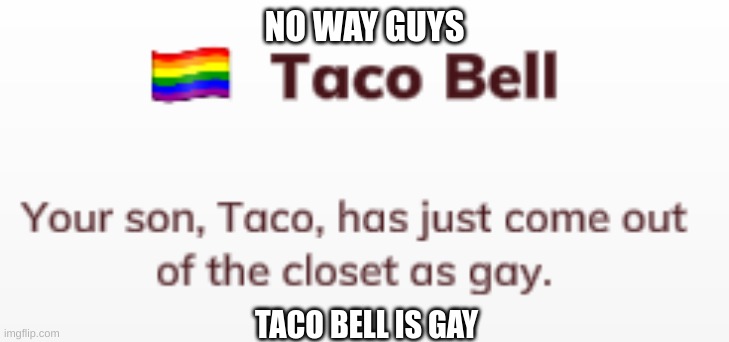 taco bell is gay!!! | NO WAY GUYS; TACO BELL IS GAY | image tagged in meme | made w/ Imgflip meme maker