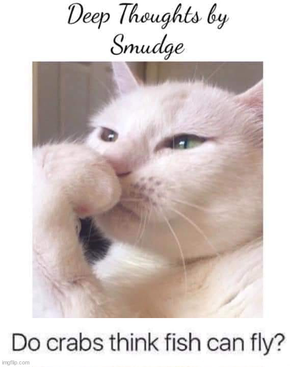 Deep-Thoughts-By-Smudge | image tagged in deep-thoughts-by-smudge | made w/ Imgflip meme maker