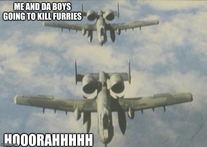 A-10 Thunderbolt II | ME AND DA BOYS GOING TO KILL FURRIES; HOOORAHHHHH | image tagged in a-10 thunderbolt ii | made w/ Imgflip meme maker