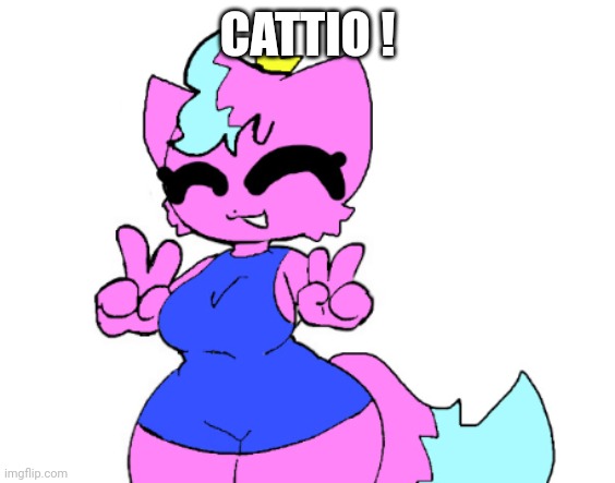 Cuddy Catto ! | CATTIO ! | image tagged in catto smile | made w/ Imgflip meme maker