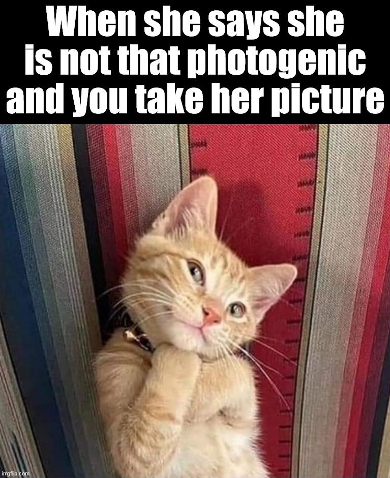 Cute girls telling you they look horrible in photos | When she says she is not that photogenic and you take her picture | image tagged in photography,so cute,photogenic,adorable | made w/ Imgflip meme maker