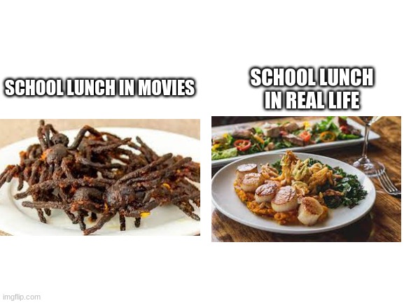 School lunch is really good | SCHOOL LUNCH IN REAL LIFE; SCHOOL LUNCH IN MOVIES | image tagged in blank white template,school lunch,gross,yummy | made w/ Imgflip meme maker