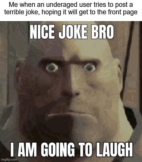 Nice joke bro, i am going to laugh | Me when an underaged user tries to post a terrible joke, hoping it will get to the front page | image tagged in nice joke bro i am going to laugh,front page plz | made w/ Imgflip meme maker