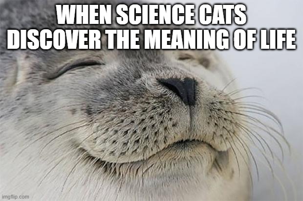 T | WHEN SCIENCE CATS DISCOVER THE MEANING OF LIFE | image tagged in memes | made w/ Imgflip meme maker