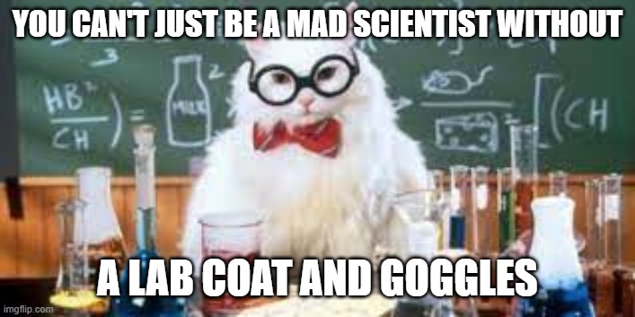cat | YOU CAN'T JUST BE A MAD SCIENTIST WITHOUT; A LAB COAT AND GOGGLES | image tagged in memes | made w/ Imgflip meme maker