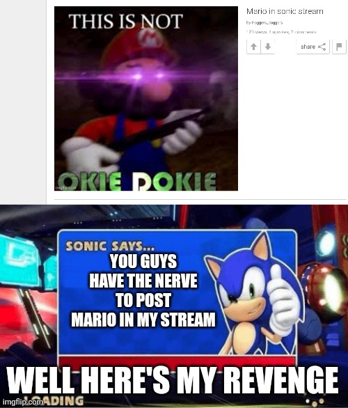 YOU GUYS HAVE THE NERVE TO POST MARIO IN MY STREAM; WELL HERE'S MY REVENGE | image tagged in sonic says | made w/ Imgflip meme maker