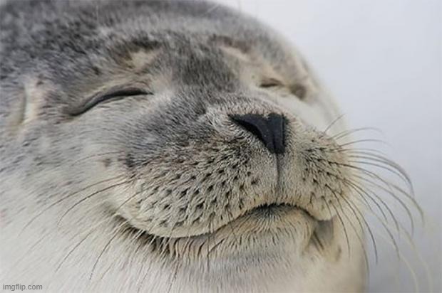 Satisfied Seal | image tagged in memes,satisfied seal | made w/ Imgflip meme maker