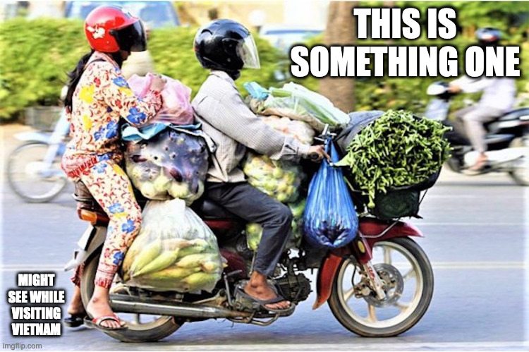 Motorcycle Full of Groceries | THIS IS SOMETHING ONE; MIGHT SEE WHILE VISITING VIETNAM | image tagged in motorcycle,memes | made w/ Imgflip meme maker