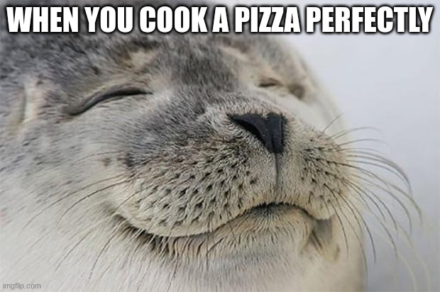It always taste so good | WHEN YOU COOK A PIZZA PERFECTLY | image tagged in memes,satisfied seal | made w/ Imgflip meme maker