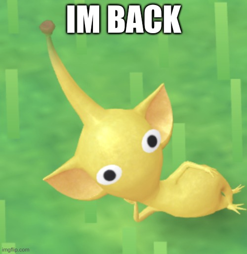 i forgot about imgflip | IM BACK | image tagged in pikmin,im back | made w/ Imgflip meme maker