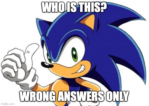Sonic The Hedgehog Approves | WHO IS THIS? WRONG ANSWERS ONLY | image tagged in sonic the hedgehog approves | made w/ Imgflip meme maker