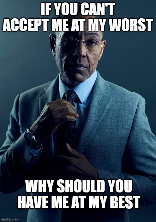 yes | IF YOU CAN'T ACCEPT ME AT MY WORST; WHY SHOULD YOU HAVE ME AT MY BEST | image tagged in gus fring we are not the same | made w/ Imgflip meme maker