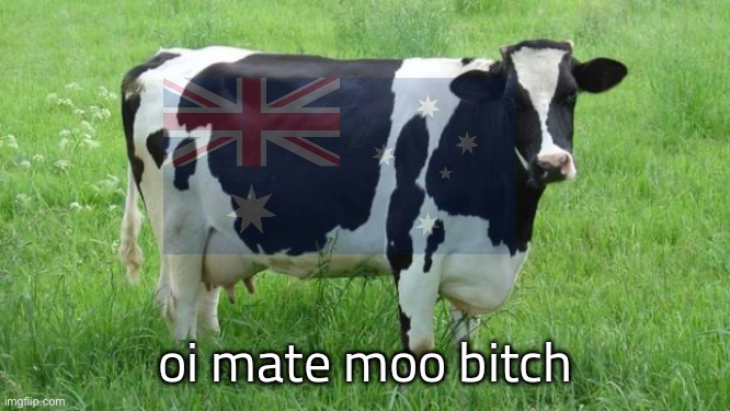 cow | oi mate moo bitch | image tagged in cow | made w/ Imgflip meme maker