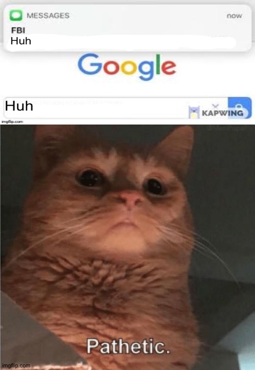 Pathetic Cat | image tagged in pathetic cat,huh,google,fbi | made w/ Imgflip meme maker