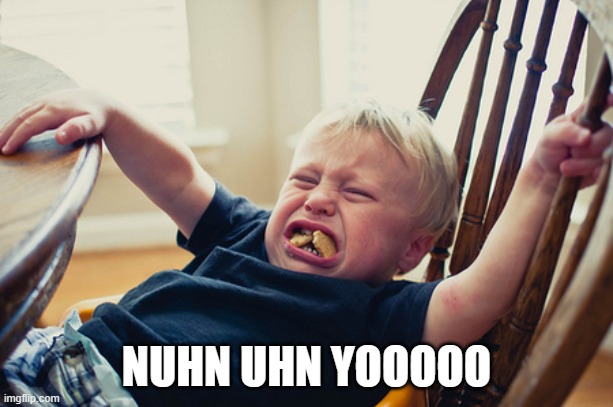 7yw5qa.jpg