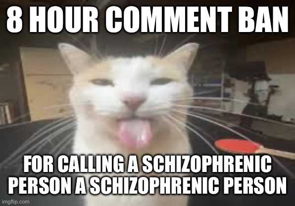 Cat | 8 HOUR COMMENT BAN; FOR CALLING A SCHIZOPHRENIC PERSON A SCHIZOPHRENIC PERSON | image tagged in cat | made w/ Imgflip meme maker