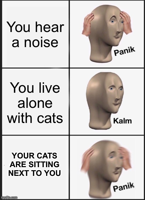 OH GET OUTTA THERE | You hear a noise; You live alone with cats; YOUR CATS ARE SITTING NEXT TO YOU | image tagged in memes,panik kalm panik,oh no,run away,scary | made w/ Imgflip meme maker