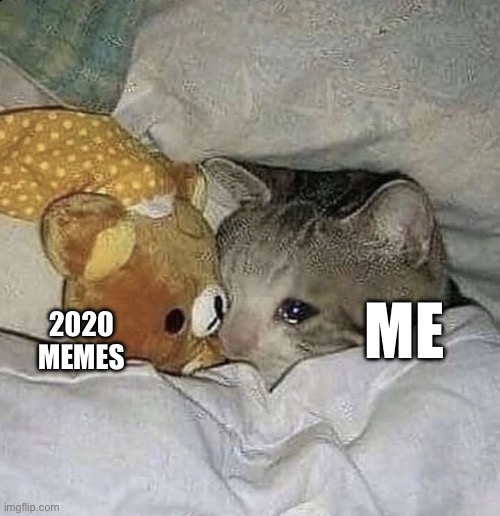 I’m stuck in the past where I belong | 2020 MEMES; ME | image tagged in crying cat | made w/ Imgflip meme maker