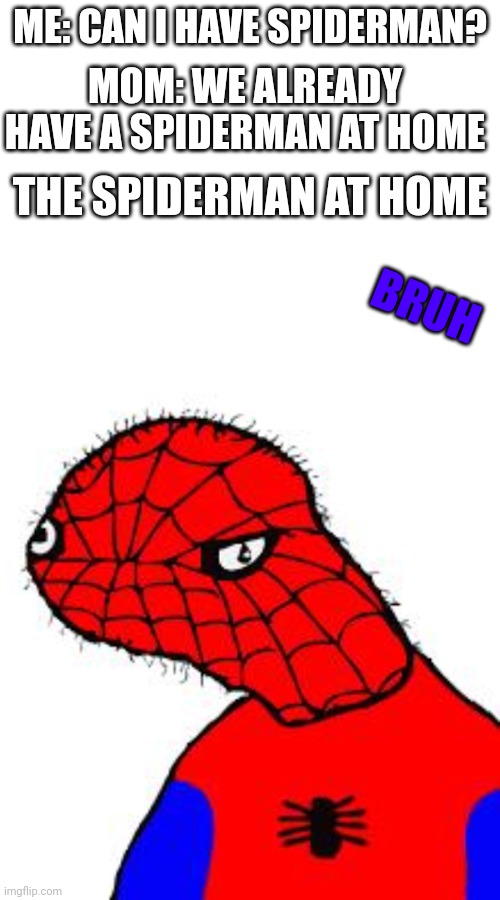 Spooderman | ME: CAN I HAVE SPIDERMAN? MOM: WE ALREADY HAVE A SPIDERMAN AT HOME; THE SPIDERMAN AT HOME; BRUH | image tagged in spooderman | made w/ Imgflip meme maker