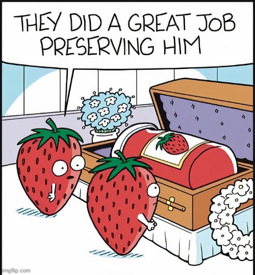 Preservation | image tagged in comics | made w/ Imgflip meme maker
