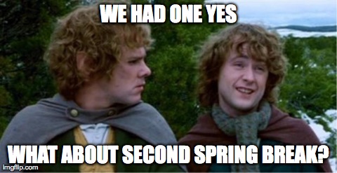 Merry and Pippin | WE HAD ONE YES WHAT ABOUT SECOND SPRING BREAK? | image tagged in merry and pippin | made w/ Imgflip meme maker