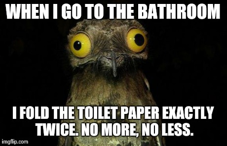 Weird Stuff I Do Potoo Meme | WHEN I GO TO THE BATHROOM I FOLD THE TOILET PAPER EXACTLY TWICE. NO MORE, NO LESS. | image tagged in memes,weird stuff i do potoo,AdviceAnimals | made w/ Imgflip meme maker