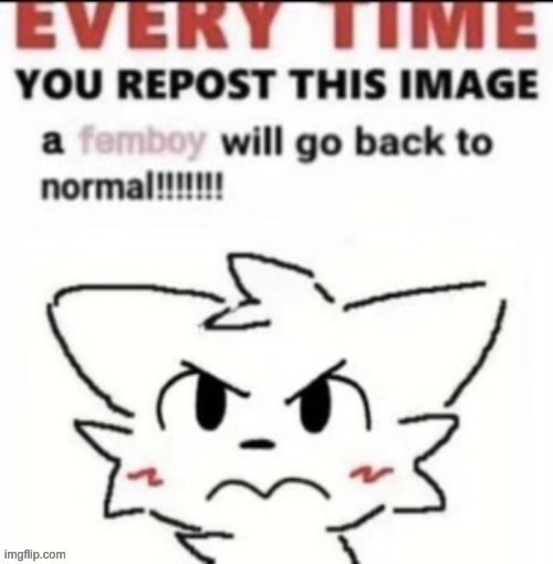 repost it | image tagged in dragonz,fun,whatever,why are you reading the tags | made w/ Imgflip meme maker