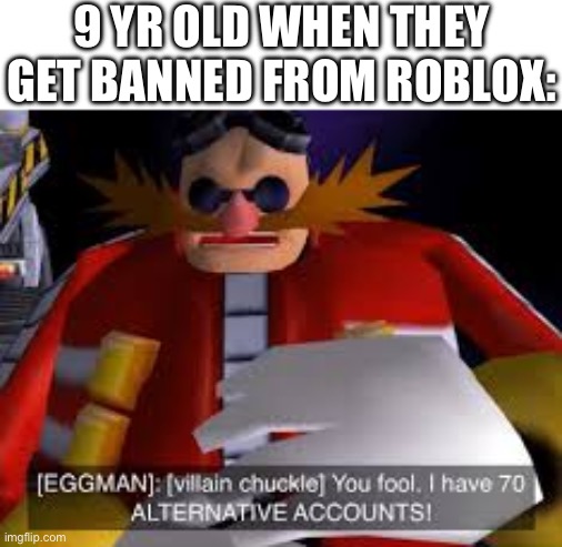 Kids: | 9 YR OLD WHEN THEY GET BANNED FROM ROBLOX: | image tagged in eggman alternative accounts | made w/ Imgflip meme maker