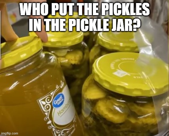 Not Me | WHO PUT THE PICKLES IN THE PICKLE JAR? | image tagged in you had one job | made w/ Imgflip meme maker