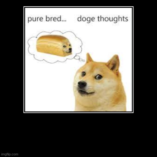 gib moi baguette | image tagged in funny,demotivationals,french,doge,bread | made w/ Imgflip demotivational maker