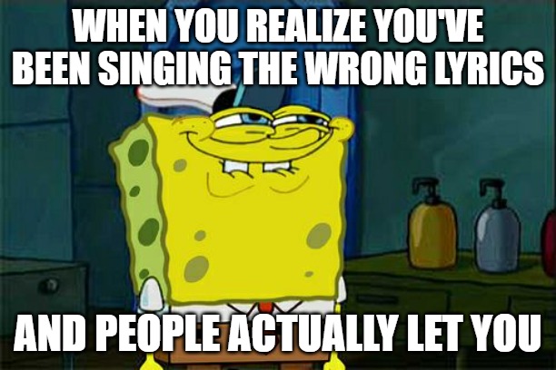 Don't You Squidward Meme | WHEN YOU REALIZE YOU'VE BEEN SINGING THE WRONG LYRICS; AND PEOPLE ACTUALLY LET YOU | image tagged in memes,don't you squidward | made w/ Imgflip meme maker