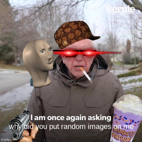 IDK | why did you put random images on me | image tagged in memes,bernie i am once again asking for your support | made w/ Imgflip meme maker